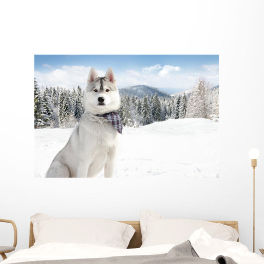 Husky Winter Wall Decal