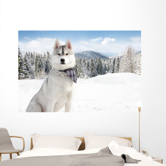 Husky Winter Wall Decal