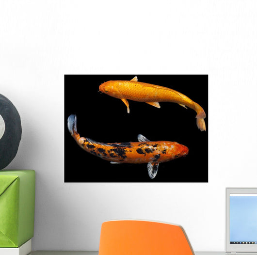 Koi Fancy Carp Wall Decal