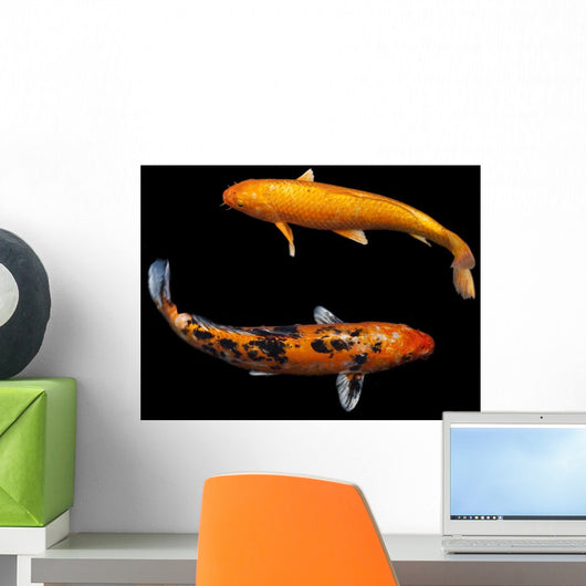 Koi Fancy Carp Wall Decal