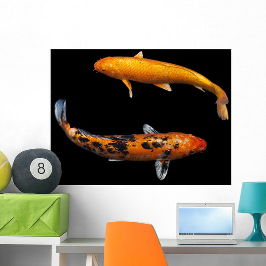 Koi Fancy Carp Wall Decal