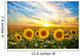 Sunflowers Wall Decal Design 2