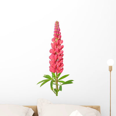 Lupinus Flower Wall Decal shown on a wall