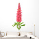 Lupinus Flower Wall Decal