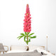 Lupinus Flower Wall Decal