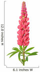 Lupinus Flower Wall Decal