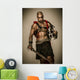 Wounded Gladiator with Sword Wall Decal