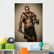 Wounded Gladiator with Sword Wall Decal