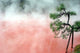 Red Hot Spring Japan Wall Decal