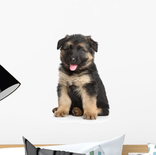 German Shepherd Puppy White Wall Decal