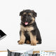 German Shepherd Puppy White Wall Decal