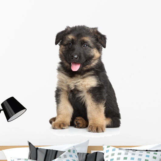German Shepherd Puppy White Wall Decal
