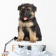 German Shepherd Puppy White Wall Decal