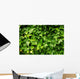 Lush Green Ivy Leaves Wall Decal