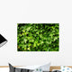 Lush Green Ivy Leaves Wall Decal