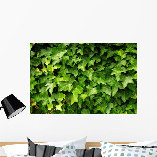 Lush Green Ivy Leaves Wall Decal