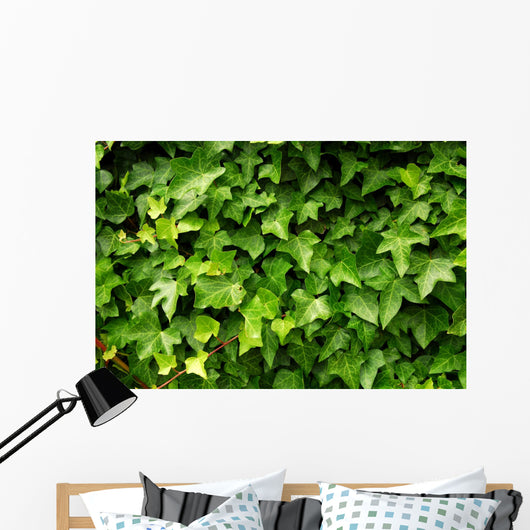 Lush Green Ivy Leaves Wall Decal