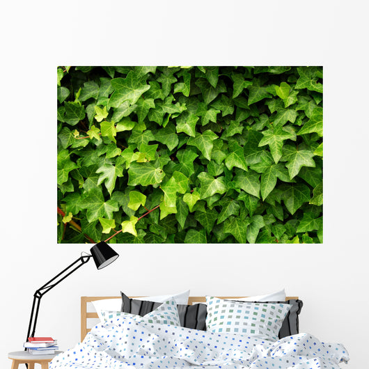 Lush Green Ivy Leaves Wall Decal