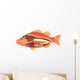 Anatomy Fish Wall Decal