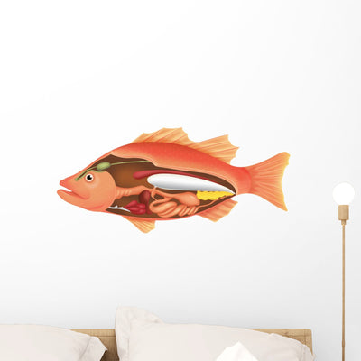 Anatomy Fish Wall Decal shown on a wall