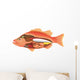 Anatomy Fish Wall Decal