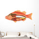 Anatomy Fish Wall Decal