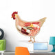 Anatomy Chicken Wall Decal