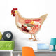 Anatomy Chicken Wall Decal
