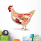Anatomy Chicken Wall Decal