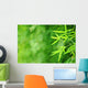 Bamboo Garden Wall Decal