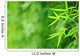 Bamboo Garden Wall Decal