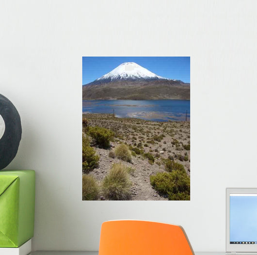 Vulkan Parinacota Wall Decal