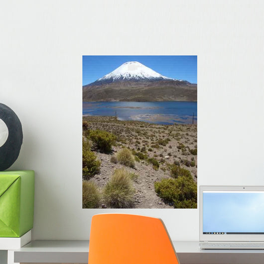 Vulkan Parinacota Wall Decal