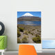 Vulkan Parinacota Wall Decal