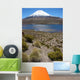 Vulkan Parinacota Wall Decal