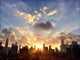 Chicago Awakens Wall Decal