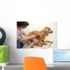 Grooming Wall Decal