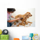 Grooming Wall Decal