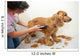 Grooming Wall Decal