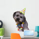 Dog Wearing Birthday Hat Wall Decal