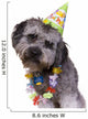 Dog Wearing Birthday Hat Wall Decal