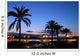 Palmeras Wall Decal