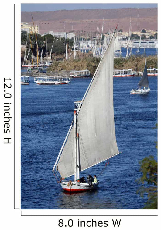 Fallucca Nile Aswan Wall Decal