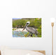 Brown Pelican Wall Decal
