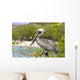 Brown Pelican Wall Decal