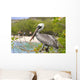 Brown Pelican Wall Decal