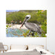 Brown Pelican Wall Decal