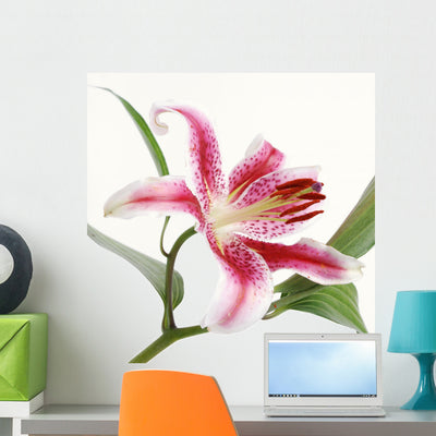 Stargazer Lilly White Wall Decal shown on a wall