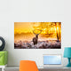 Red Deer Morning Sun Wall Decal
