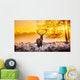 Red Deer Morning Sun Wall Decal